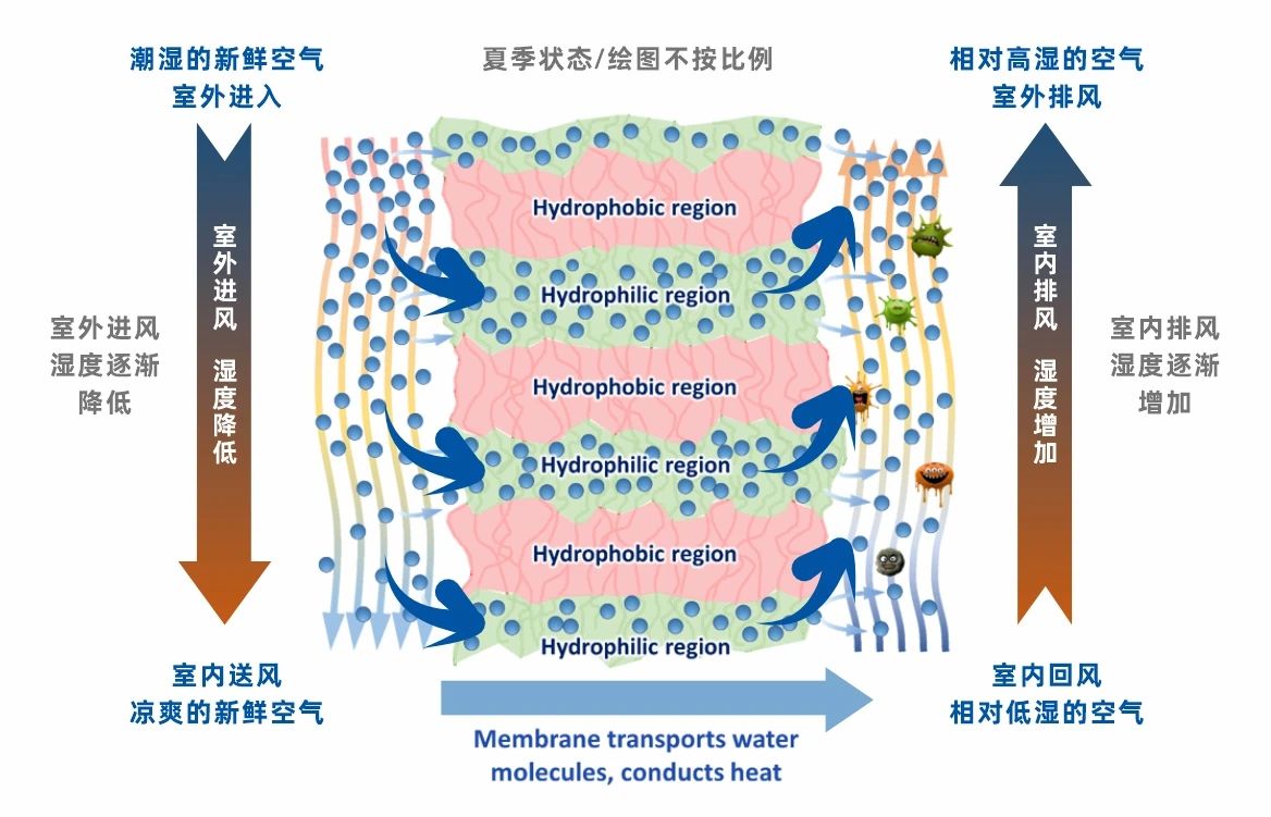 喜报!曼瑞德“热湿膜”交换芯荣膺雄安未来之城国际大赛三等奖,以核心技术赋能建筑“双碳”目标(图5) 喜报!曼瑞德“热湿膜”交换芯荣膺雄安未来之城国际大赛三等奖,以核心技术赋能建筑“双碳”目标(图5)